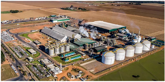 Foto Principal Notícia