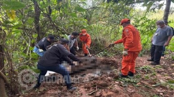 Foto Principal Notícia