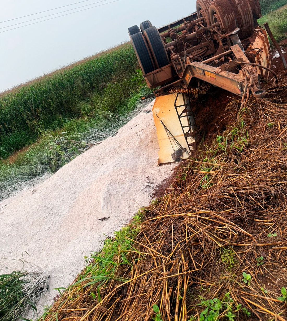 Foto Principal Notícia