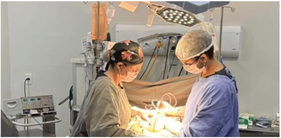 Foto Principal Notícia