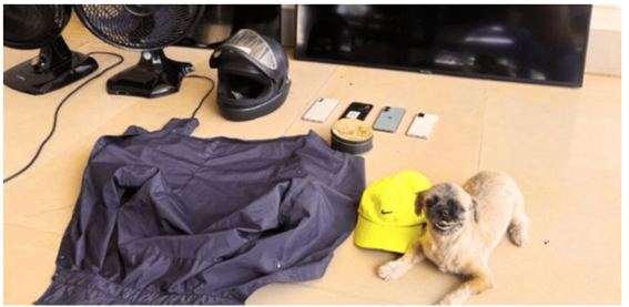 Foto Principal Notícia