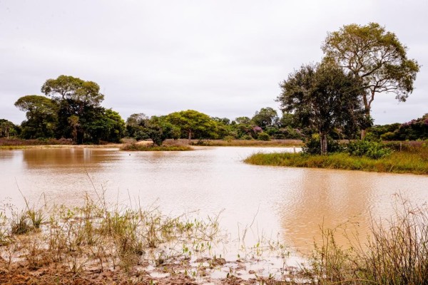 Foto Principal Notícia