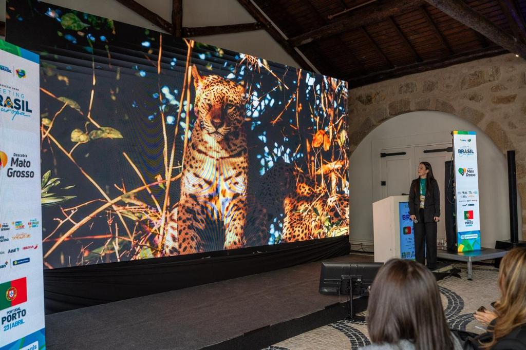 Foto Principal Notícia