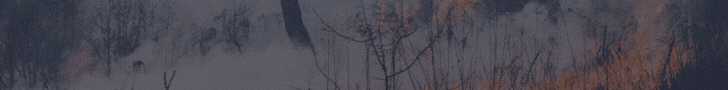 Banner fotos_bancoimagens/32738.gif