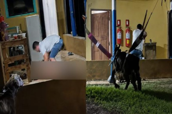 Foto Principal Notícia