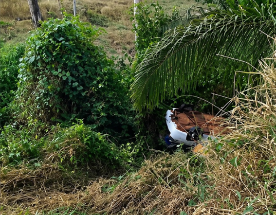 Foto Principal Notícia