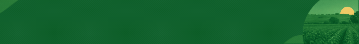 Banner fotos_bancoimagens/33505.gif